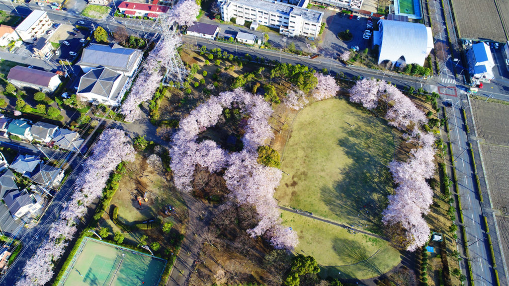 埼玉県杉戸西近隣公園20170407桜